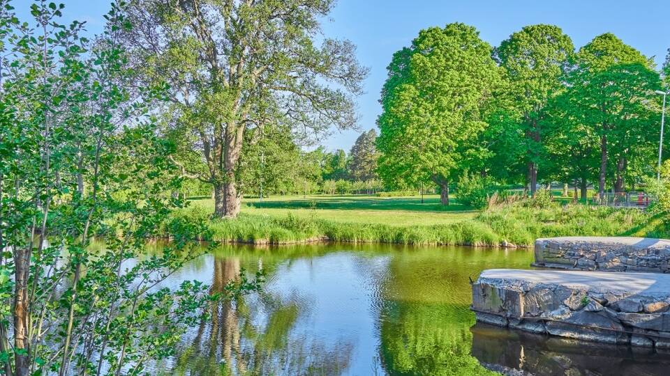 Oplev den rolige skønhed ved Möckelnsøen, som er perfekt til fiskeri og kanosejlads.