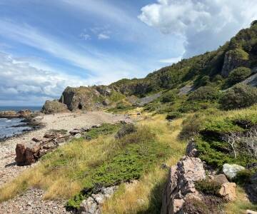 Cykel eller spadser gennem de rolige skove og klitter i Hökafältet Naturreservat.