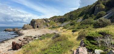 Cykla eller promenera genom de lugna skogarna och sanddynerna i naturreservatet Hökafältet.