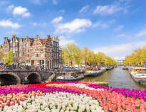 Enjoy a wonderful city break with art, culture, shopping and sightseeing in Amsterdam.