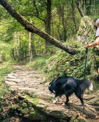 Explore the scenic trails of the Zittau Mountains, such as the Lausche Peak hike or the picturesque Oybin Rock Castle trail.