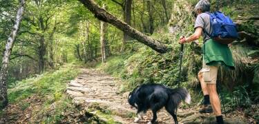 Utforska de natursköna lederna i Zittaubergen, till exempel vandringen till Lausche Peak eller den pittoreska leden till Oybin Rock Castle.