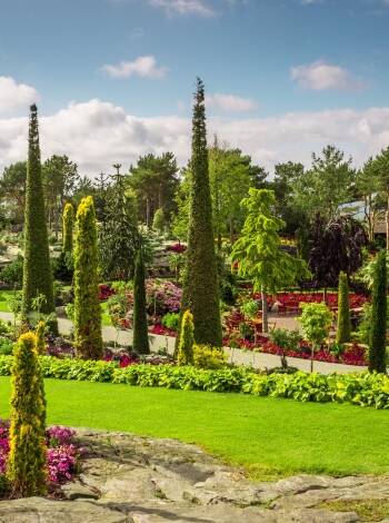 Entdecken Sie den Botanischen Garten von Stavanger oder erkunden Sie die nahe gelegenen Grünflächen, wo Sie wandern und die norwegische Natur genießen können.