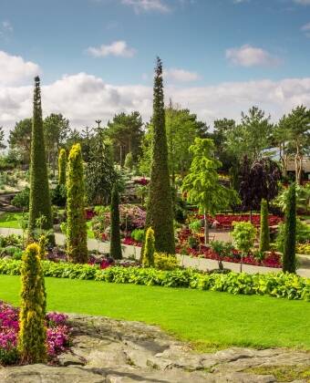 Entdecken Sie den Botanischen Garten von Stavanger oder erkunden Sie die nahe gelegenen Grünflächen, wo Sie wandern und die norwegische Natur genießen können.
