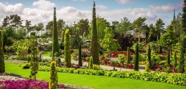 Entdecken Sie den Botanischen Garten von Stavanger oder erkunden Sie die nahe gelegenen Grünflächen, wo Sie wandern und die norwegische Natur genießen können.