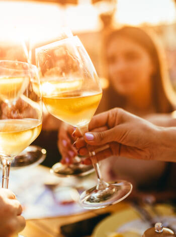 After an exciting day, guests can relax on the hotel's terrace or at the bar, enjoying a refreshing cool drink.