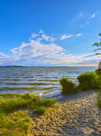 Anklam's landscape of sea, forest and meadow is part of the national natural heritage.