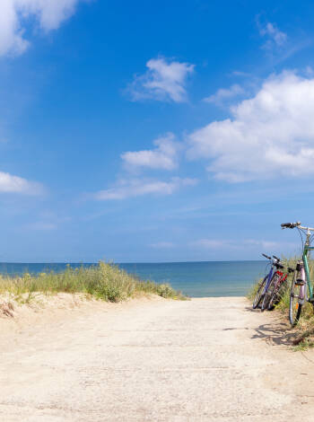 Explore the fascinating region by bike.