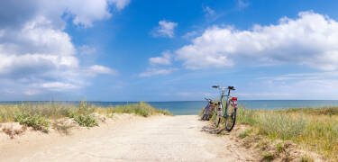 Explore the fascinating region by bike.