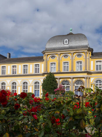 Här bor ni nära den botaniska trädgården i Bonn och slottet Poppelsdorf.