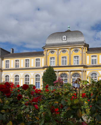 In der Nähe des Botanischen Gartens und von Schloss Poppelsdorf