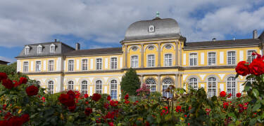 In der Nähe des Botanischen Gartens und von Schloss Poppelsdorf