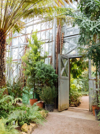Den botaniske hagen i Leipzig er en av de eldste i sitt slag i Tyskland, og er alltid verdt et besøk.