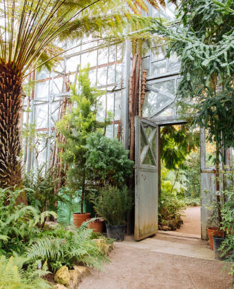 The botanical garden in Leipzig is one of the oldest of its kind in Germany, and is always worth a visit.