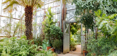 The botanical garden in Leipzig is one of the oldest of its kind in Germany, and is always worth a visit.
