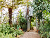 Den botaniske have i Leipzig er en af de ældste af sin art i Tyskland, og er altid et besøg værd.