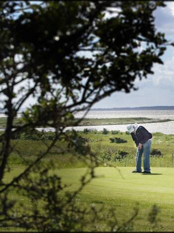 Direkt neben dem Hotel befindet sich der Løgstør Golf Club, ein 18-Loch-Golfplatz, der sich bis zum Fjord hin erstreckt.