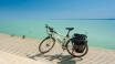 You can easily explore Lake Balaton by bike.