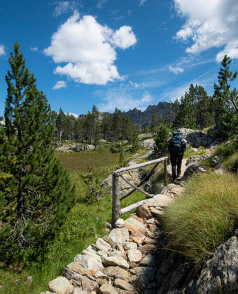 Monte Avic Natural Park is an excellent destination for nature lovers visiting Brusson.