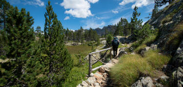 Der Naturpark Monte Avic ist ein hervorragendes Ziel für Naturliebhaber, die Brusson besuchen.