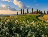 Upplev den vackra landsbygden som Toscana är känt för.