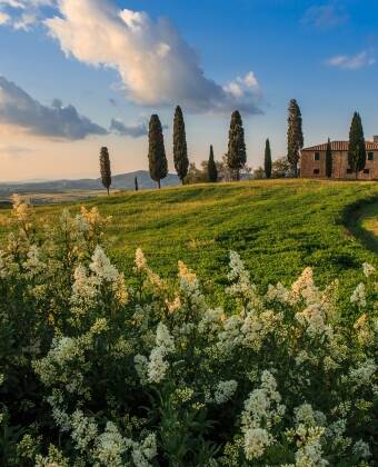 Experience the rural landscapes and pristine countryside Tuscany is famous for.