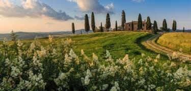 Experience the rural landscapes and pristine countryside Tuscany is famous for.
