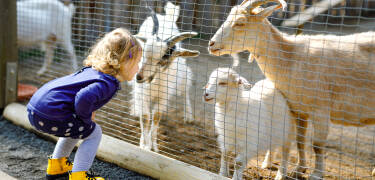 Nehmen Sie die Kinder mit in den Parken Zoo, der einen Zoo, einen Vergnügungspark und Karneval umfasst.