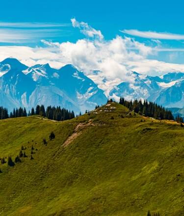 Oplev uberørt natur i Hohe Tauern Nationalpark