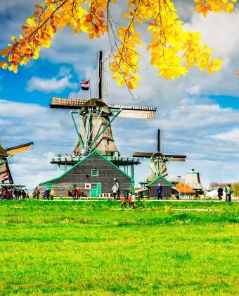 Tag på en dagstur: Besøg Keukenhof for at se de blomstrende tulipaner om foråret, eller kør til det charmerende Zaanse Schans.