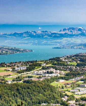 The Mövenpick Zurich Regensdorf is in an excellent location for those who want to enjoy Switzerland's stunning natural areas.