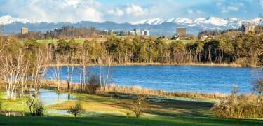 Entdecken Sie Zürichs lebhafte Attraktionen, kulturelle Wahrzeichen und die Schönheit des Zürichsees.