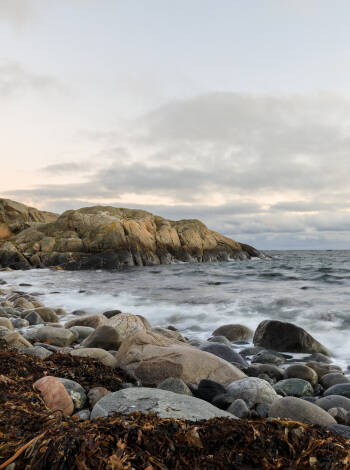 Närområdet bjuder på massor av naturupplevelser, med allt från nationalpark till ständer och hav.