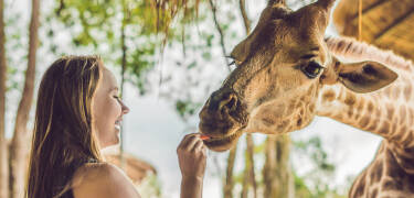 Der Zoo Kristiansand liegt etwa 30 Fahrminuten vom Hotel entfernt und ist ein wunderbares Ziel für diejenigen, die mit Kindern unterwegs sind.