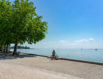 Du kan utforske Balatonsjøen perfekt på sykkel.