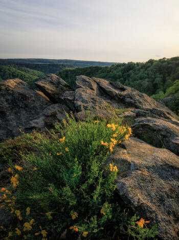 Upplev den enastående naturen i Nationalpark Harz genom en härlig vandringstur.