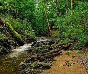 Escape into nature at Dresden Heath, where scenic trails and peaceful green landscapes await nearby.