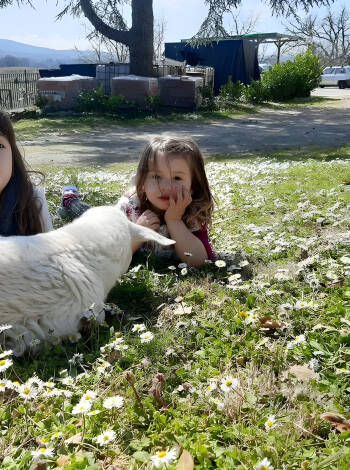 En varm och välkomnande atmosfär omfamnar både familjer och husdjur.