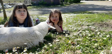 En varm og indbydende atmosfære omfavner både familier og kæledyr.