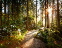 Bege er ut på härliga vandringsturer i Gråstens vackra skogar och missa heller inte att besöka det vackra Gråsten Slott