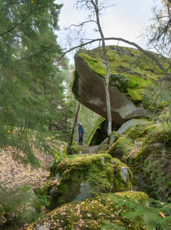 Utforska stigarna och skönheten i Tivedens nationalpark.