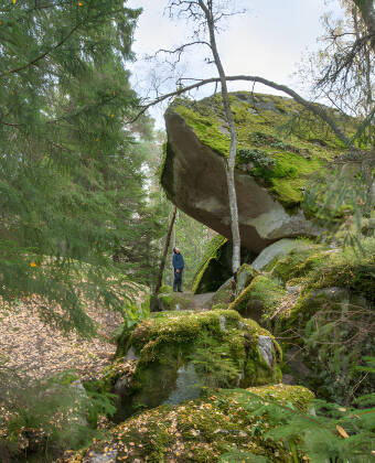 Erkunden Sie die Wanderwege und die Schönheit des Tiveden-Nationalparks.
