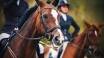 Gut Matheshof, Europas største ridesport- og turneringssenter, er et mekka for hesteelskere.