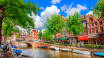 Udforsk Amsterdams romantiske kanaler og berømte museer som Van Gogh-museet, Rijksmuseum og Stedelijk Museum.