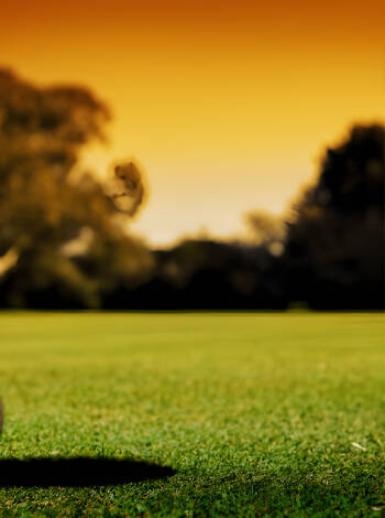 Hotellet samarbetar med Golf Club Paradiso del Garda.