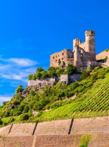Det finns många sevärdheter i Rüdesheim och det omgivande området, inklusive Ehrenfels Castle.
