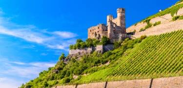 Det er mange severdigheter i Rüdesheim og området rundt, blant annet slottet Ehrenfels.