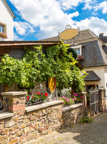 Rüdesheim begeistert seine Besucher mit den malerischen Gassen und den unzähligen Weinlokalen.