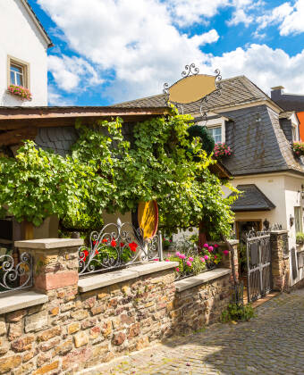 Rüdesheim vil glede deg med sine pittoreske smug og utallige vinbarer.