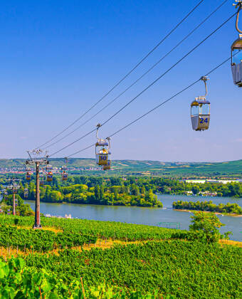 Whether it's a stroll through Drosselgasse or a gondola ride across the Rhine, there's plenty to see here.